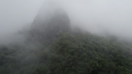 Aerial drone shot under rain of nature and forest under cloud, Moorea, 5K4