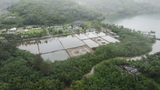 Aerial drone shot under rain of museum Fare Natura and fish farming, Moorea, 5K4