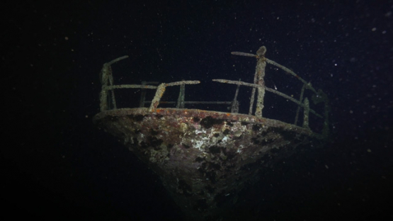 New Caledonia, discovering the front of a ship wreck at night underwater