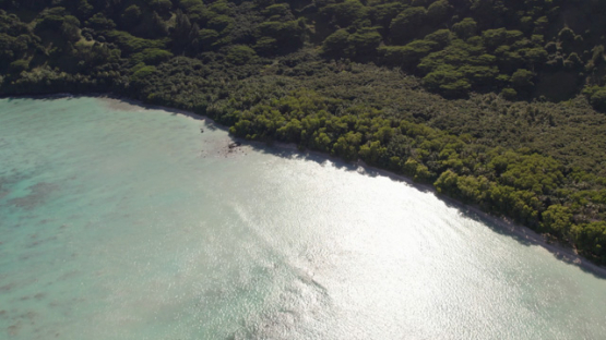 Mangareva, Aerial drone view of the shore, beach and forest, Gambier archipelago, 4K UHD