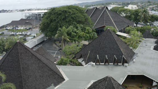 Papeete aerial drone view, above the roofs of the Culture house, 4K UHD