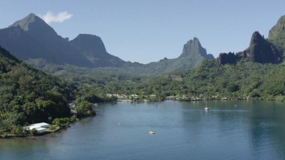 Aerial drone view of Cook s bay and Mount Moua Roa, Moorea, french Polynesia, 4K UHD