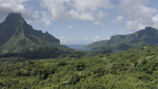 Aerial drone view of Cook s Bay and Rotui Mount, Moorea, french Polynesia, 4K UHD
