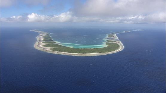 Aerial view of the Ahe, atoll of Tuamotu, French Polynesia, cineflex