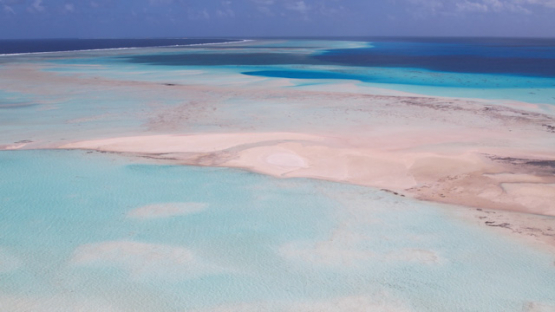 Aerial drone view, pink sand from the atoll Raroia, Tuamotu, french Polynesia, 4K UHD