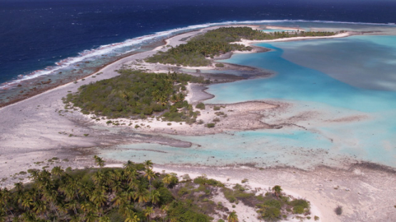 Aerial drone view from the atoll Raroia, Tuamotu, french Polynesia, 4K UHD