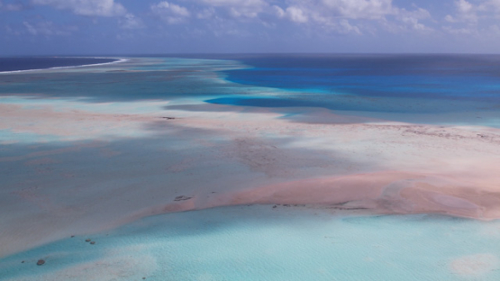Aerial drone view from the atoll Raroia and pink sand, Tuamotu, french Polynesia, 4K UHD