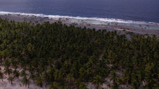 Aerial drone view from the atoll Makemo, Tuamotu, french Polynesia, 4K UHD