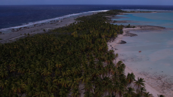 Aerial drone view from the atoll Raroia, Tuamotu, french Polynesia, 4K UHD