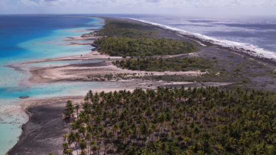 Aerial drone view from the atoll Raroia,barrier reef, Tuamotu, french Polynesia, 4K UHD