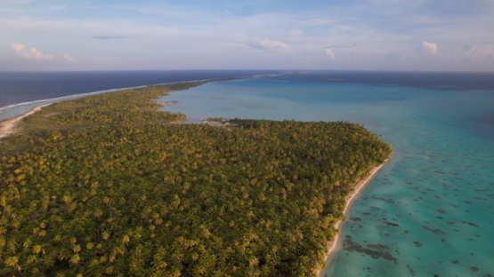 Toau Aerial drone view, the atoll, lagoon and coconuts forest, 5K4