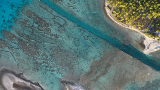 Hikueru, Aerial top view of fish traps on the barrier reef, Tuamotu, Lagoon, UHD