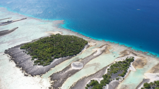 Hikueru, Aerial view of atoll, Tuamotu, Barrier reef, coconut grove, Lagoon, UHD