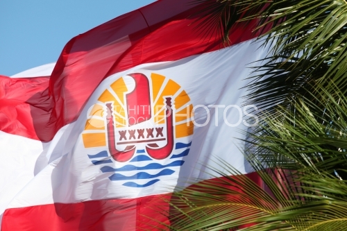 Polynesian and French Flags, wind and palm tree