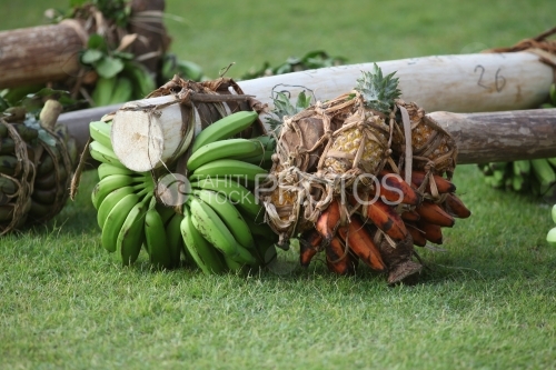 Fruits exposed on the grass, Concours de porteurs de fruits