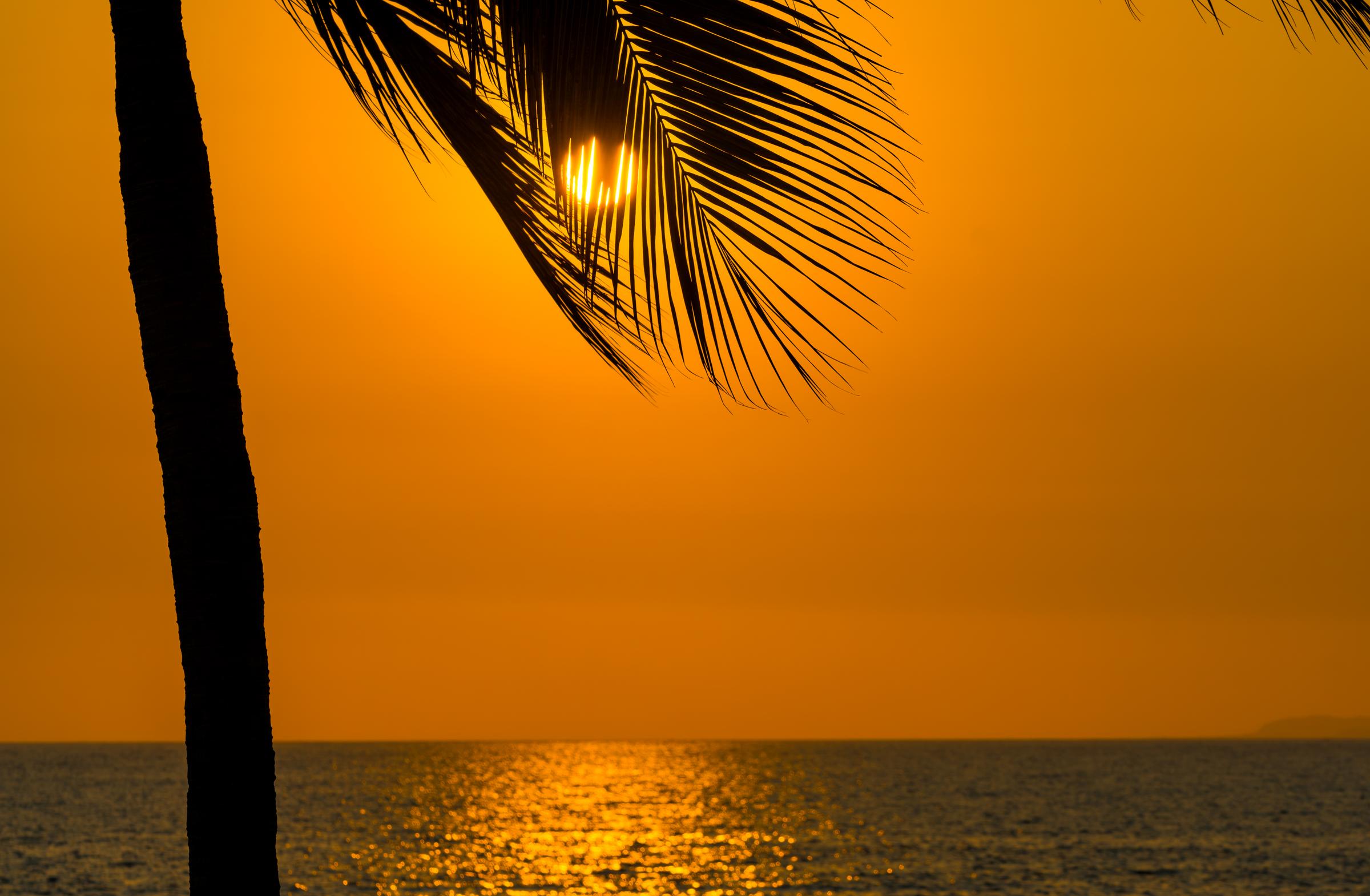 Lazy Days in Puerto Vallarta Mexico