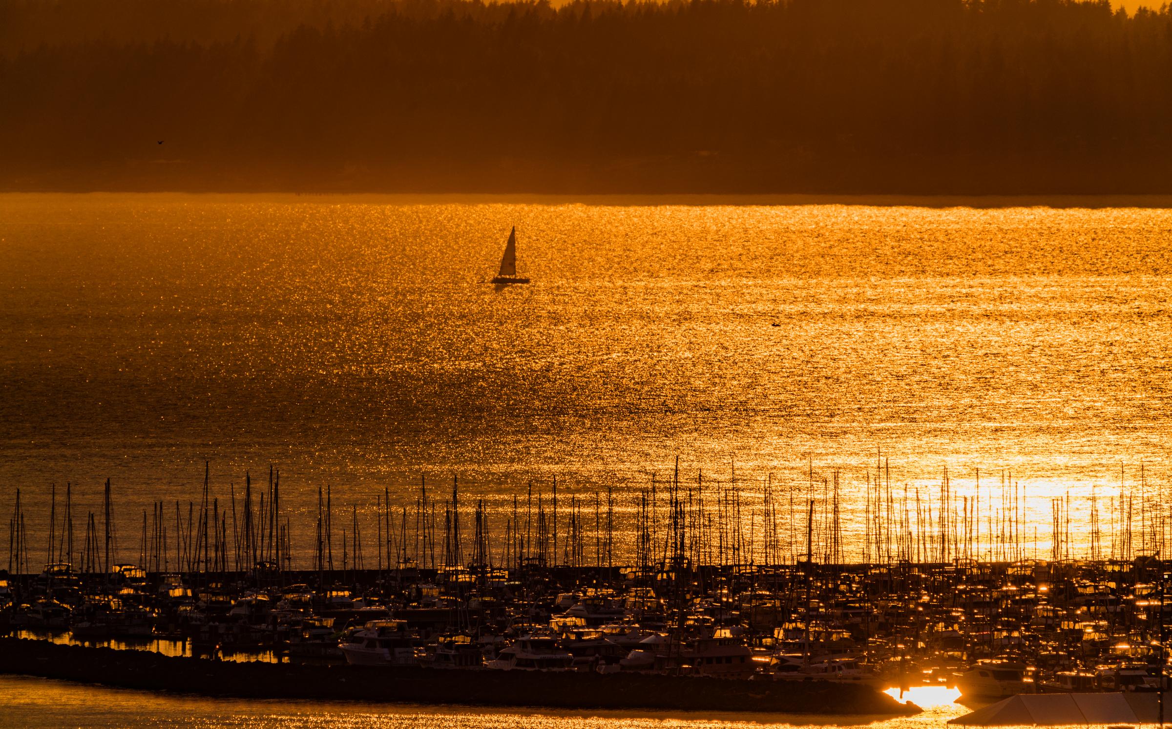 Sunset over a marina Seattle Washington United States