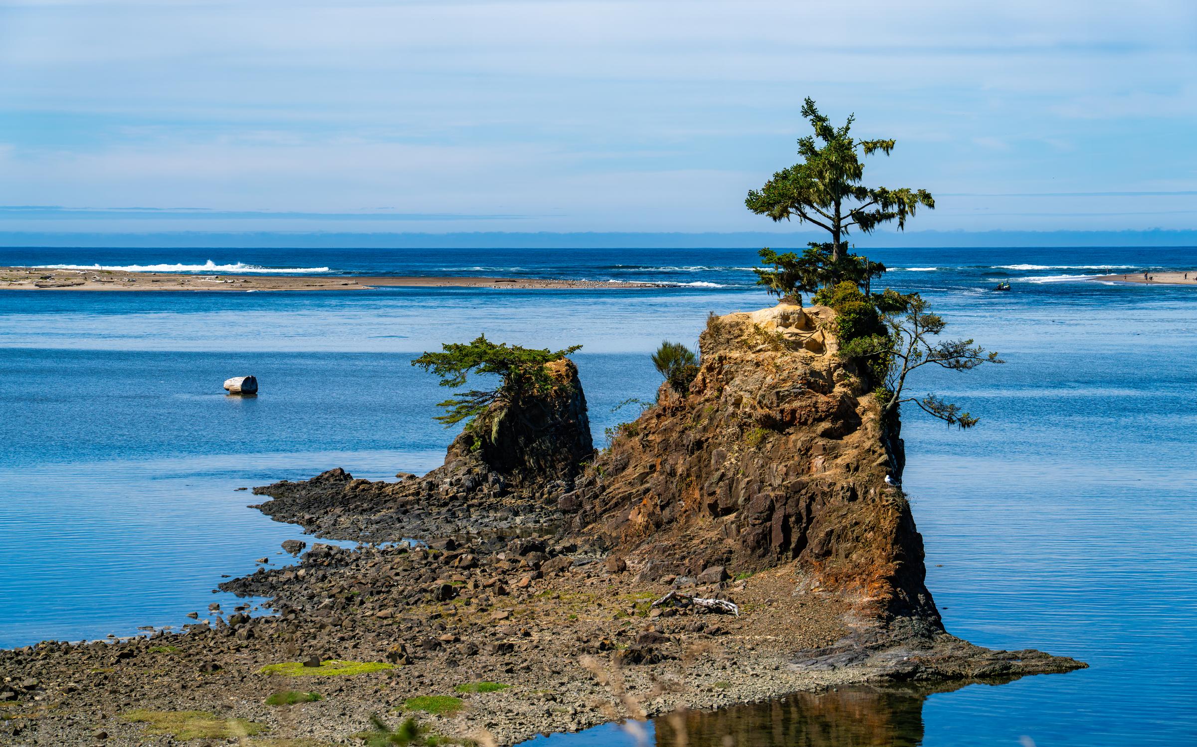 Rocky Outcrop with Trees Oregon Coast Oregon United States
