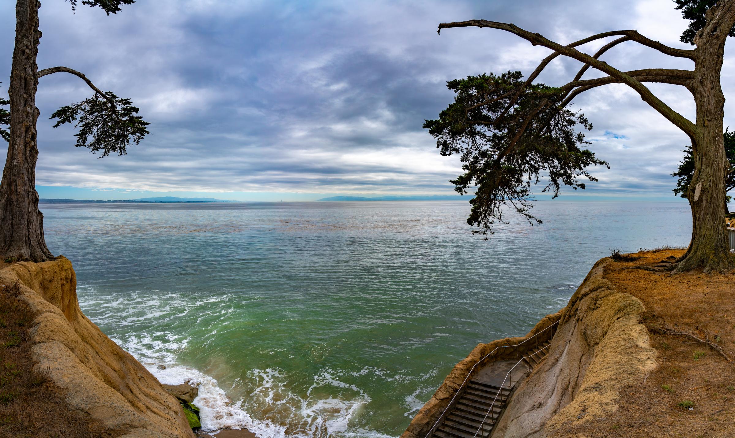 Coastal View with Wind-Blown Trees Santa Cruz California United States