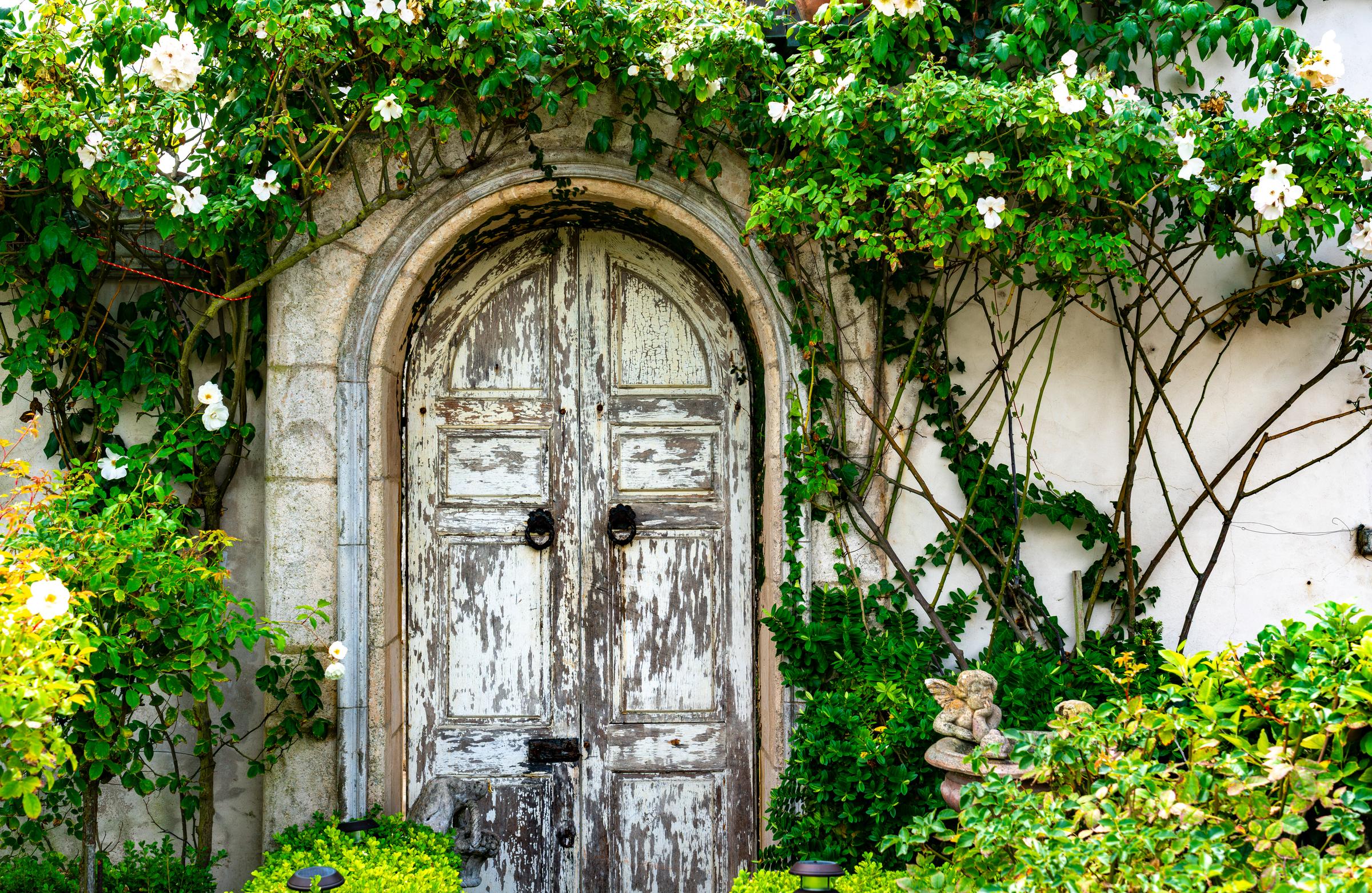Old door with climbing roses Santa Cruz California United States