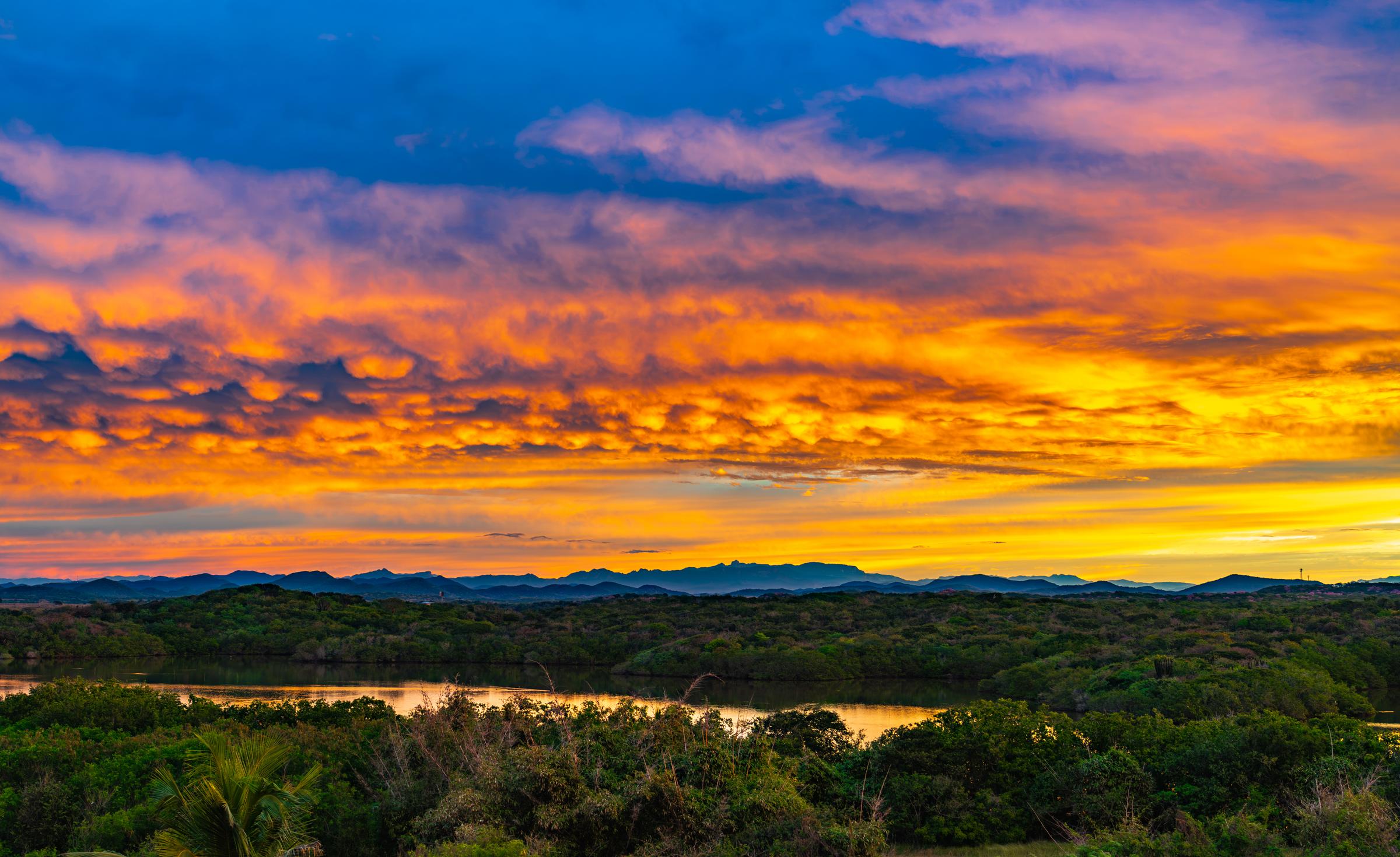Jungle Lagoon Sunrise