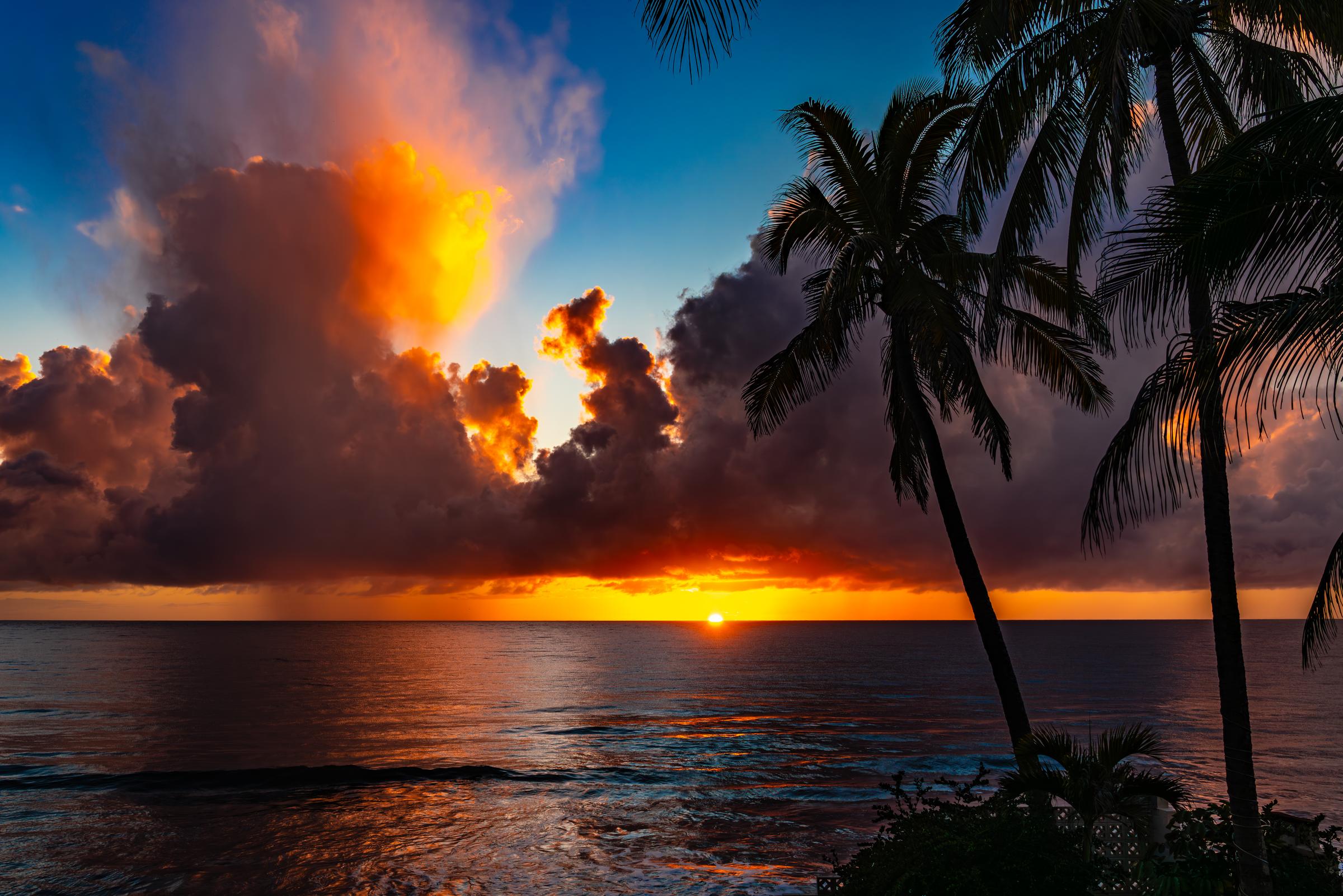 Tropical Sunset Mazatlan Mexico