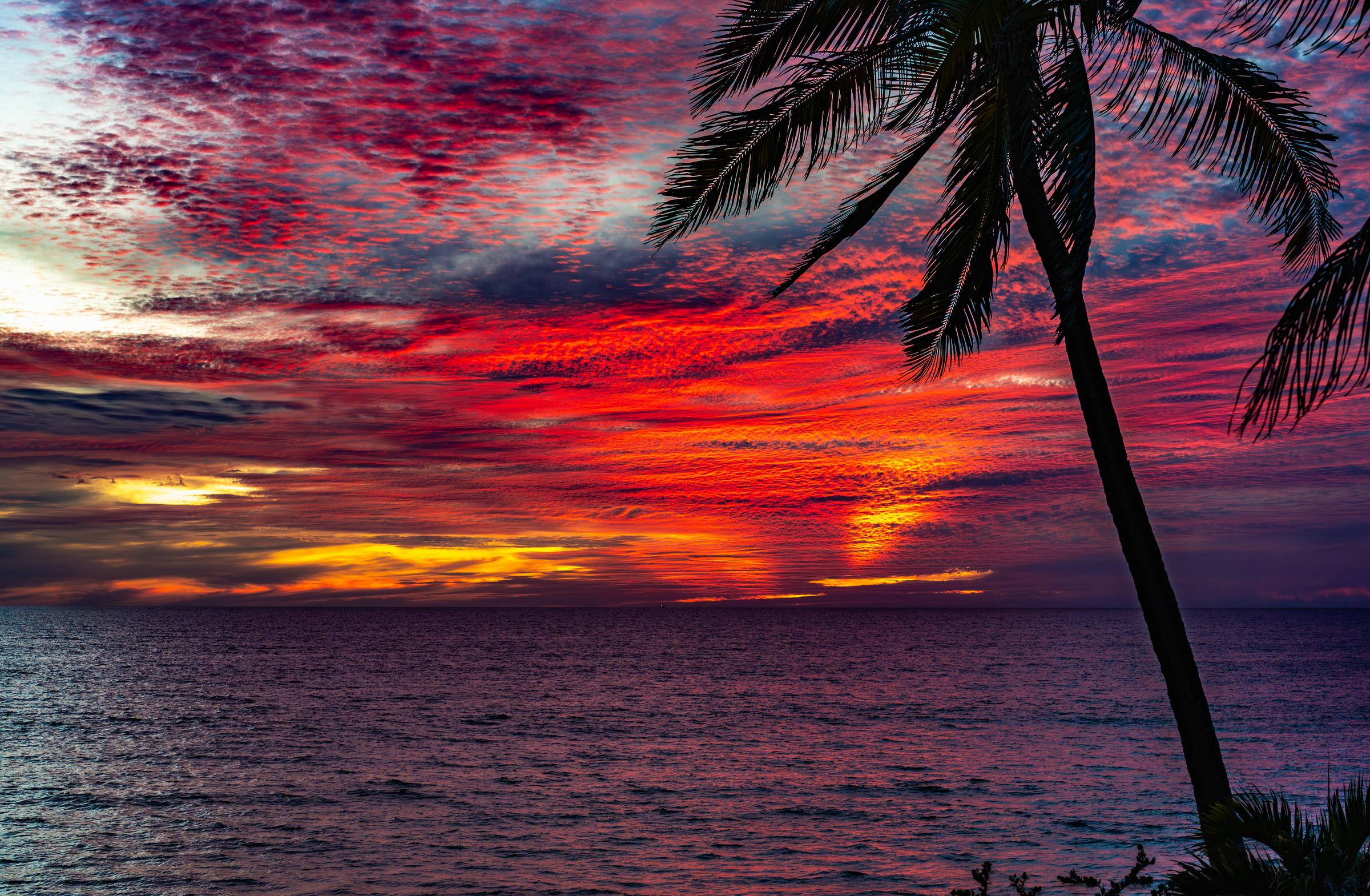 Vibrant Sunset Over the Ocean Mazatlan Sinaloa Mexico - 2