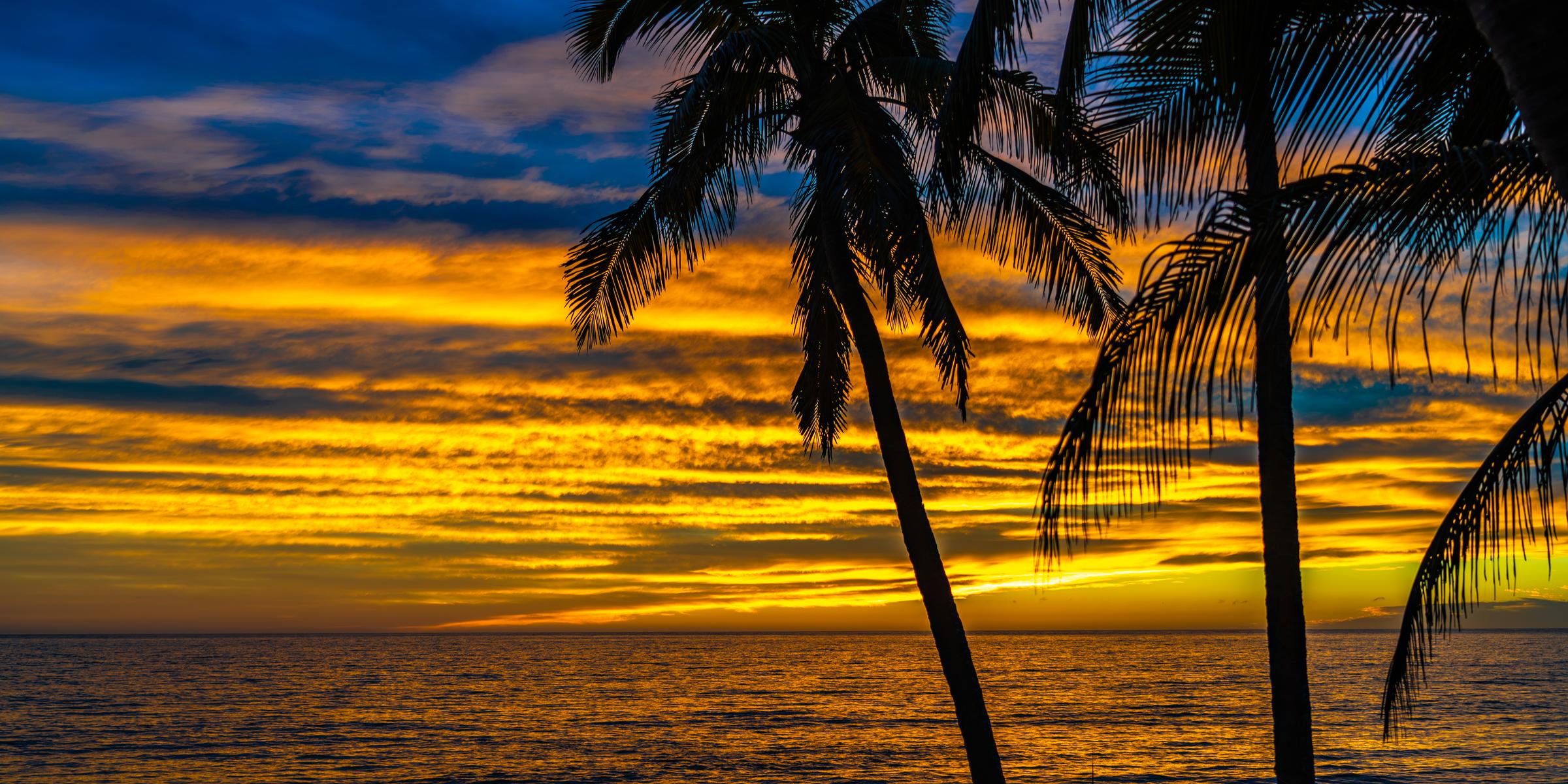 Sunset Silhouette with Palm Trees Mazatlan Sinaloa Mexico