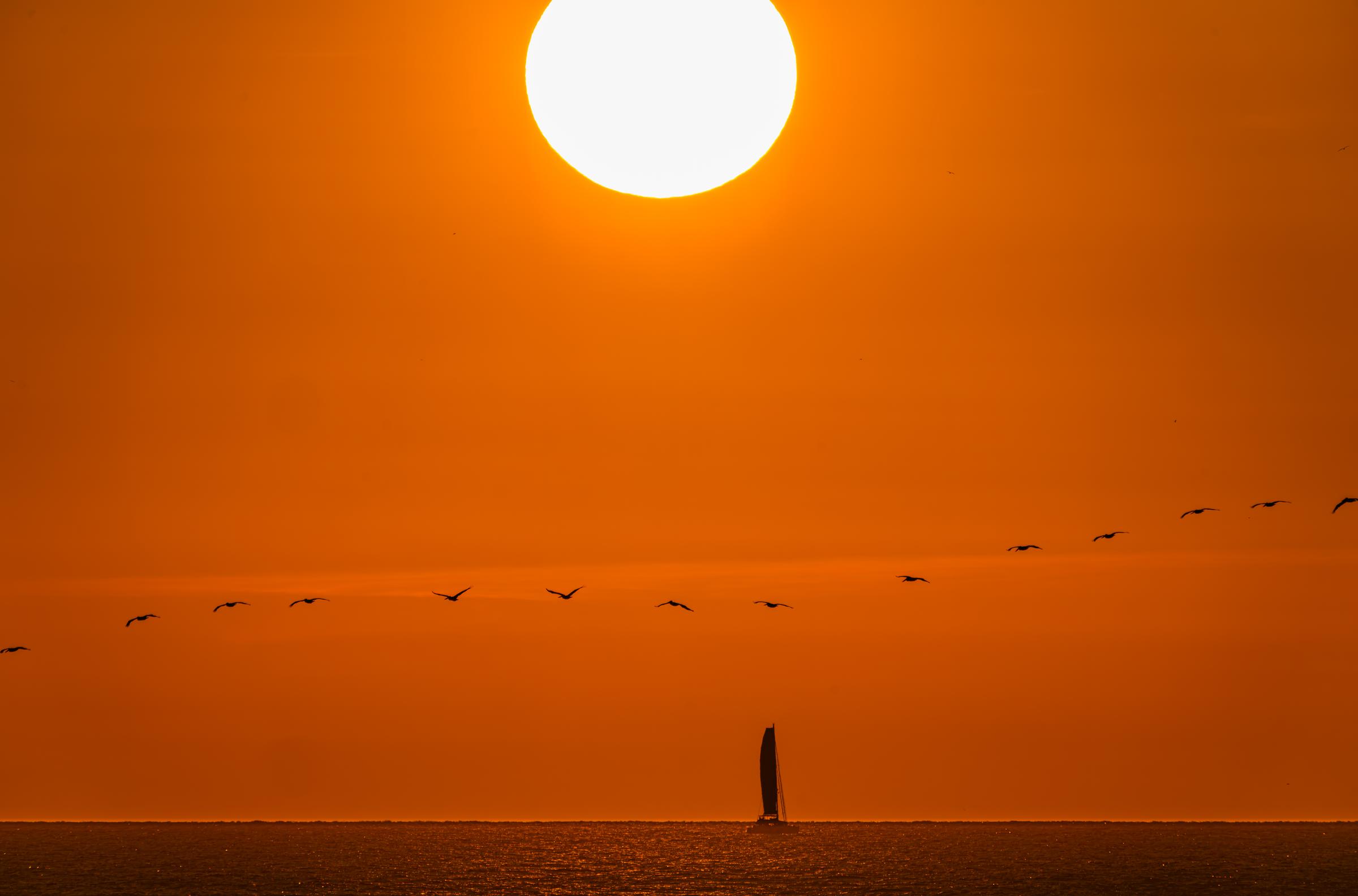 Sunset over the ocean with birds and a sailboat Mazatlan Sinaloa Mexico