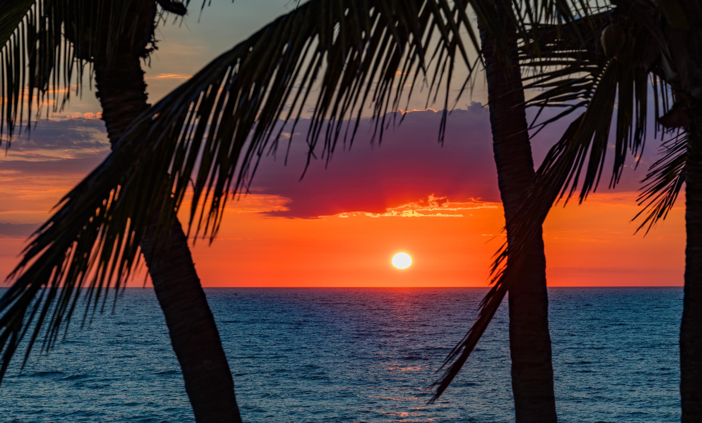 Sunset through palm trees Mazatlan Sinaloa Mexico