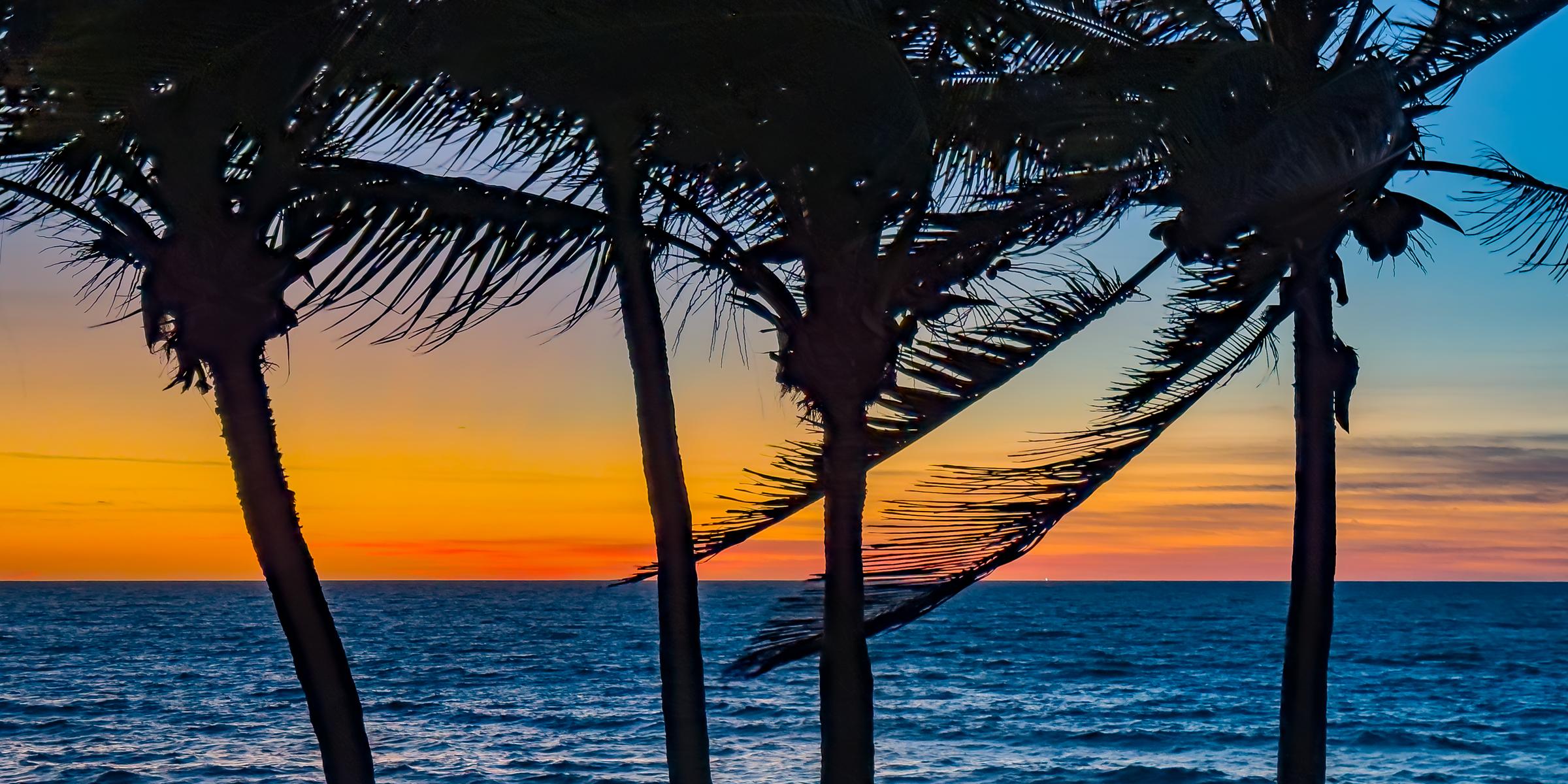 Palm Trees Silhouetted Against a Sunset Over the Ocean Mazatlan Sinaloa Mexico