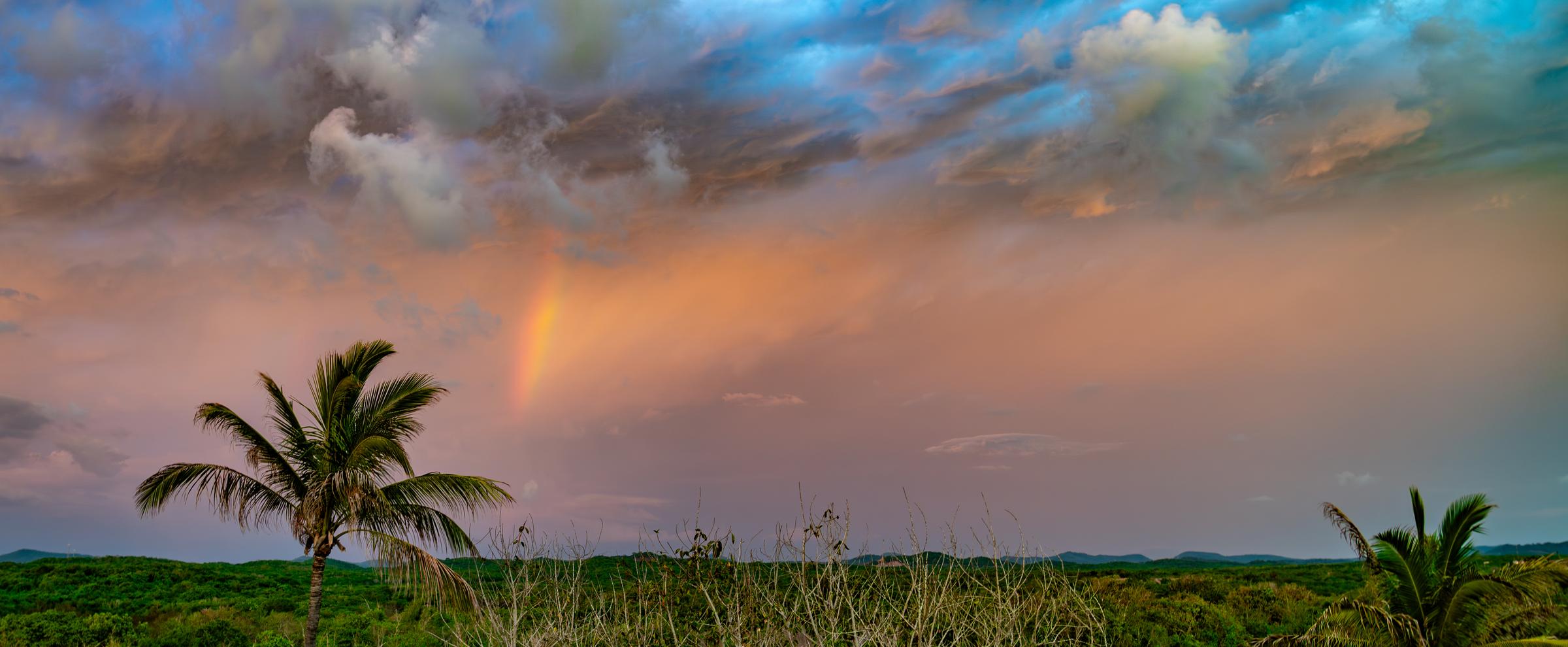 Sunset Storm Rainbow on the Jungle - 2
