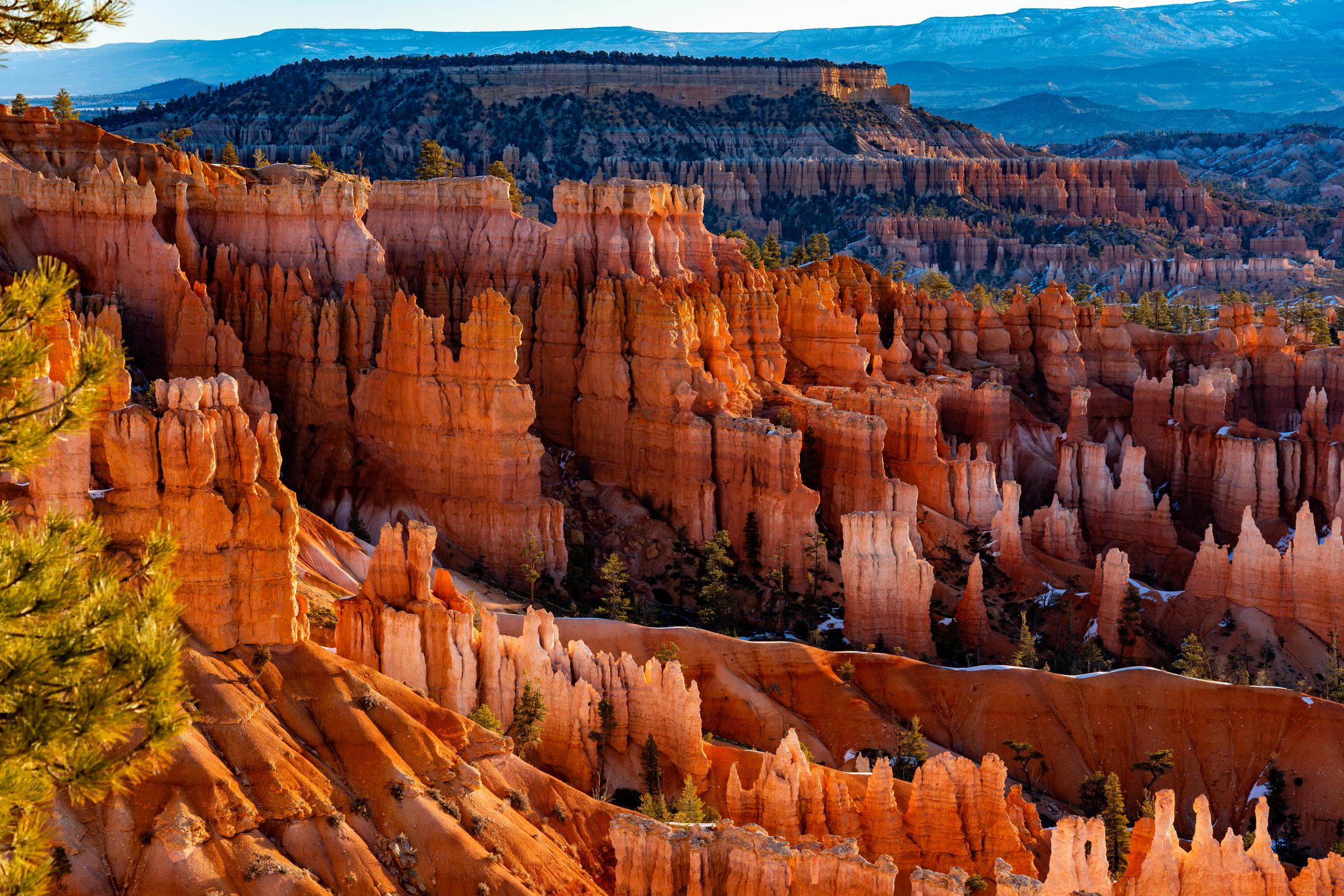 Bryce Canyon hoodoos