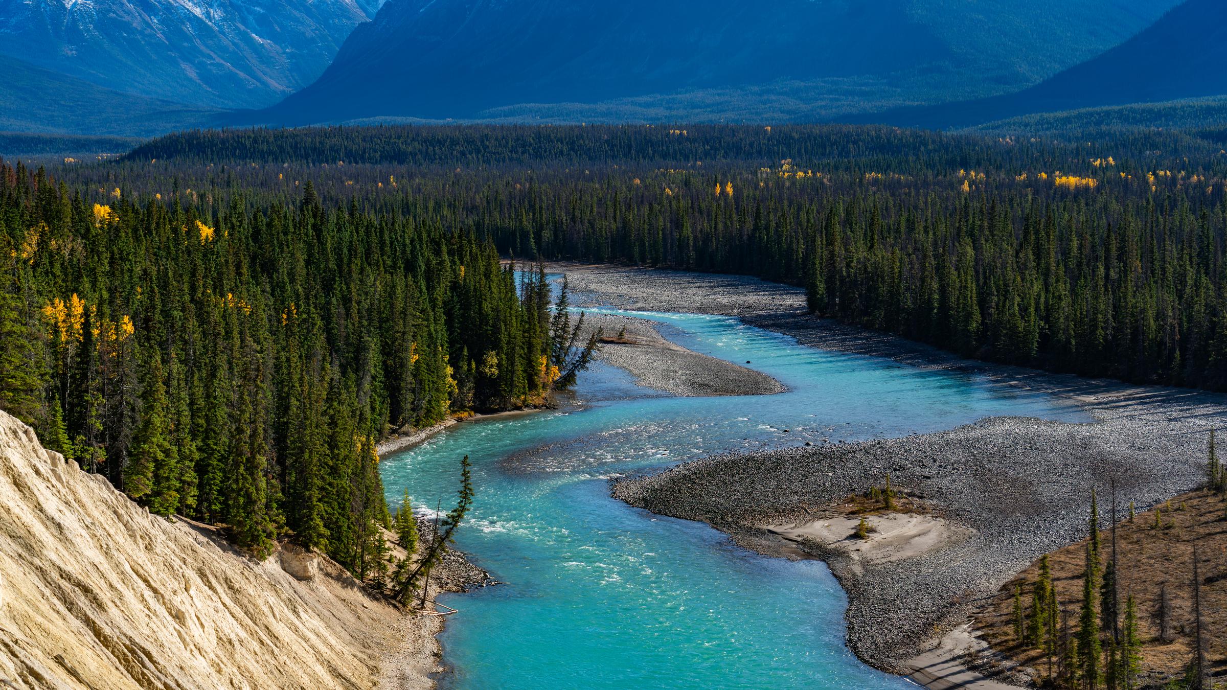 River flowing through forested valley Icefields Parkway British Columbia Canada