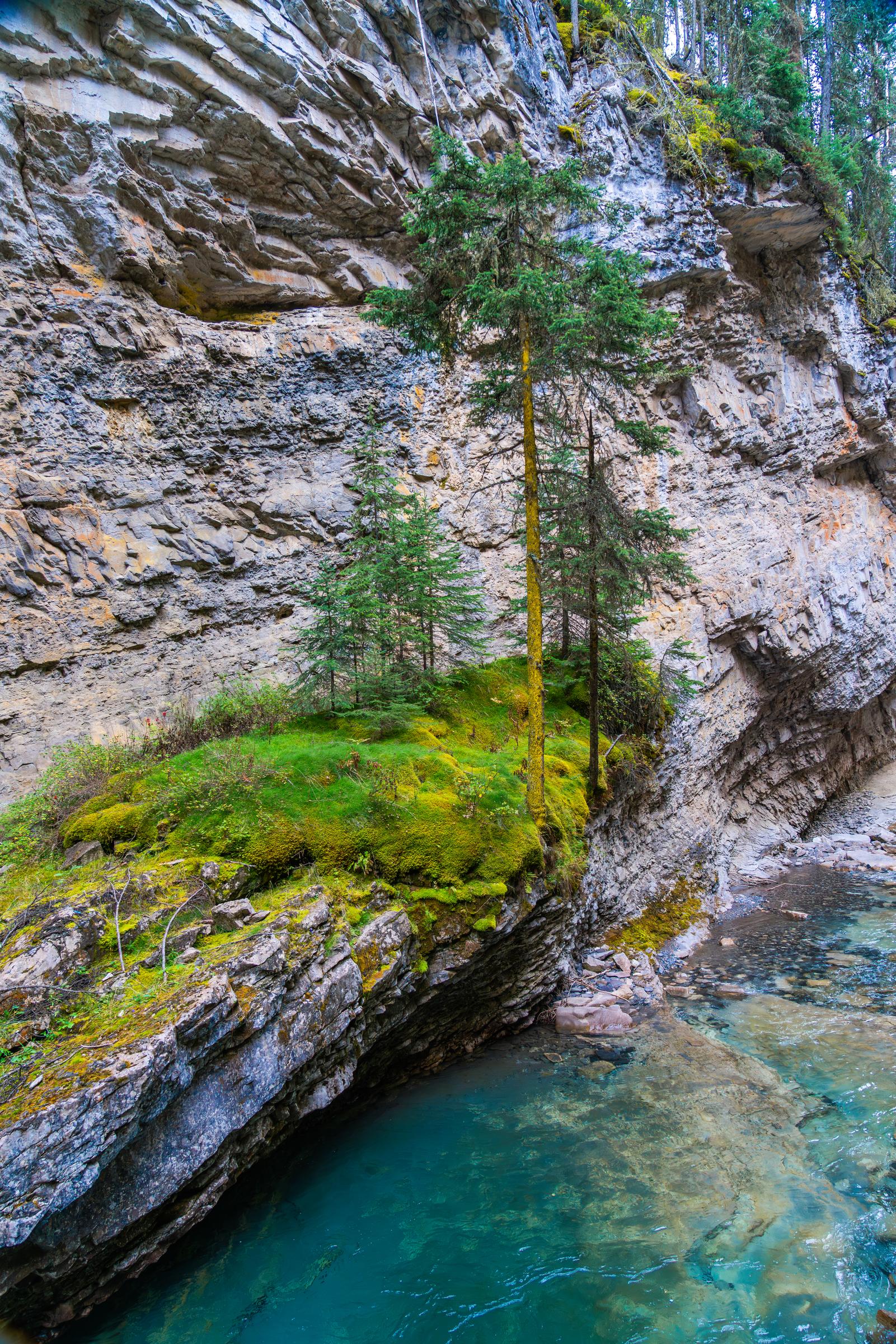 Walk to Johnston Canyon Lower Falls