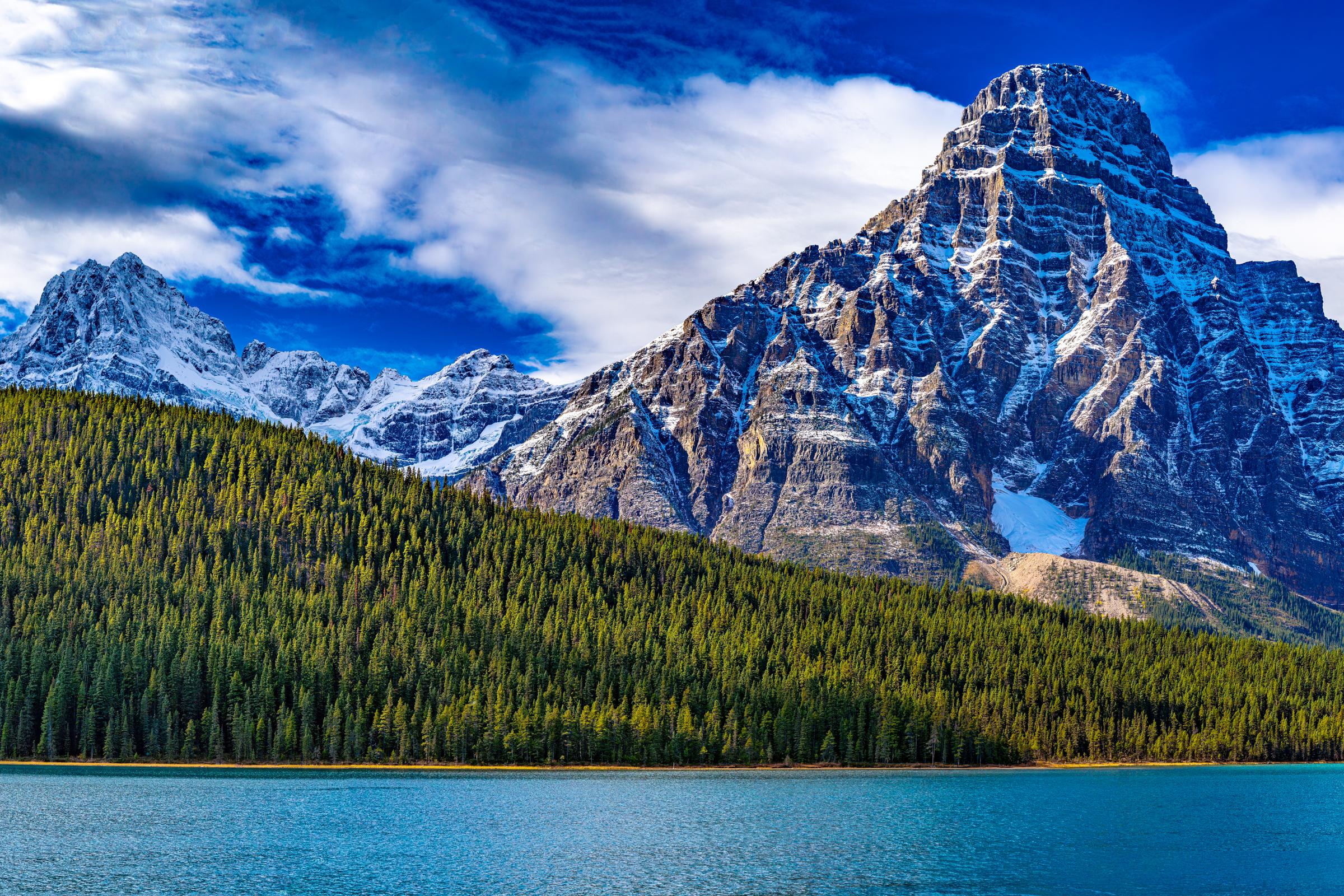 Waterefowl Lake View