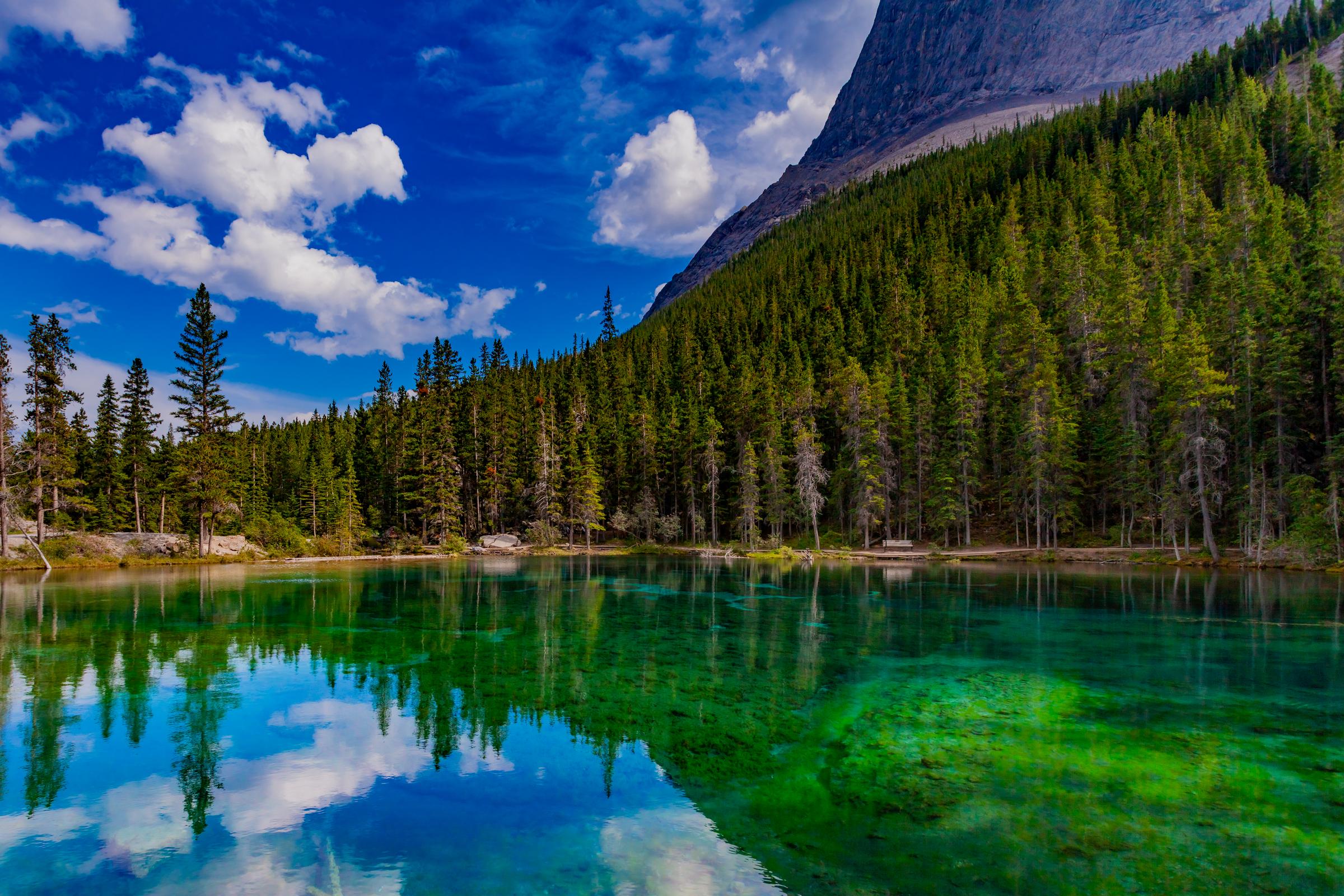 Grassi Lakes Reflections