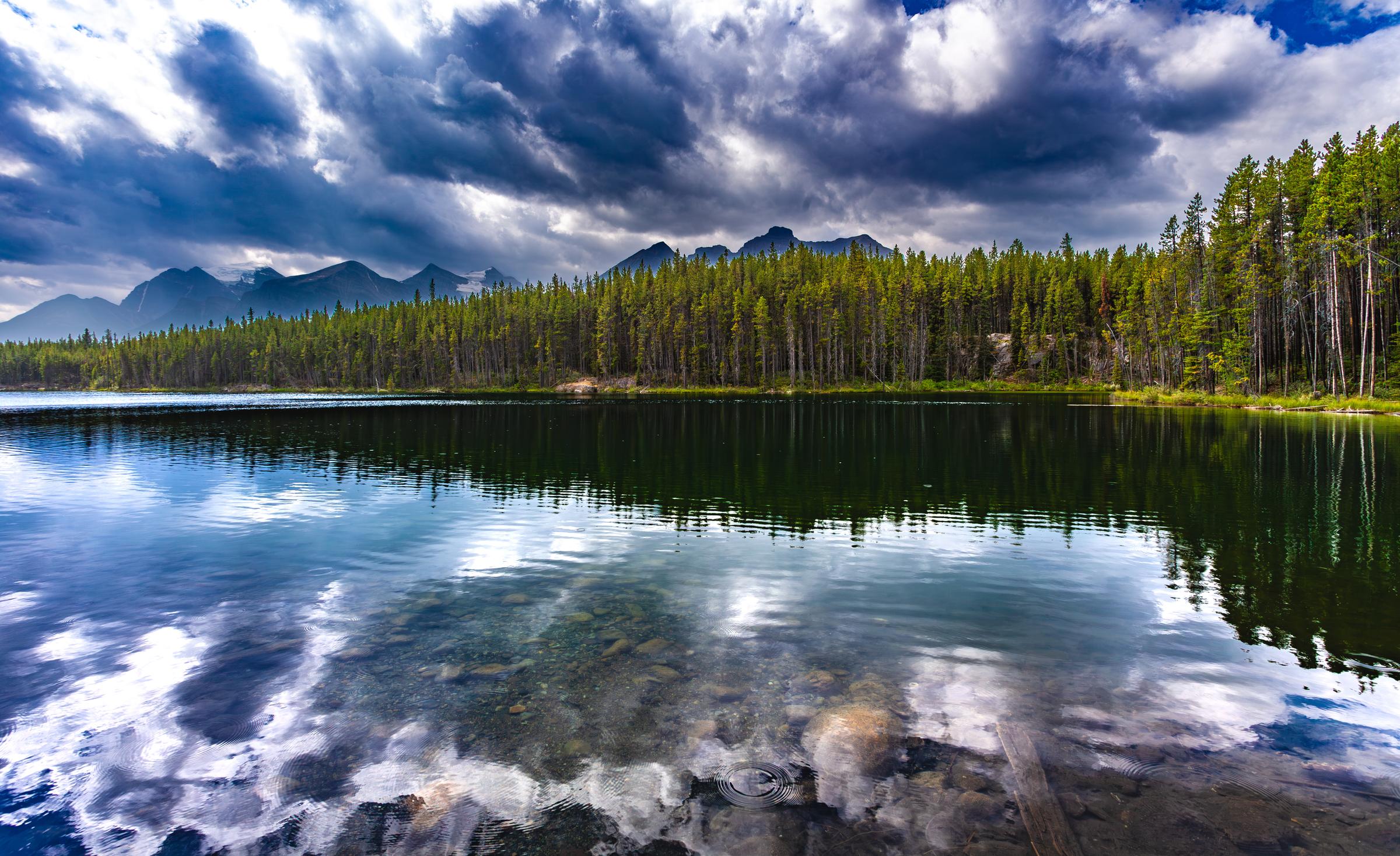 Hebert Lake View