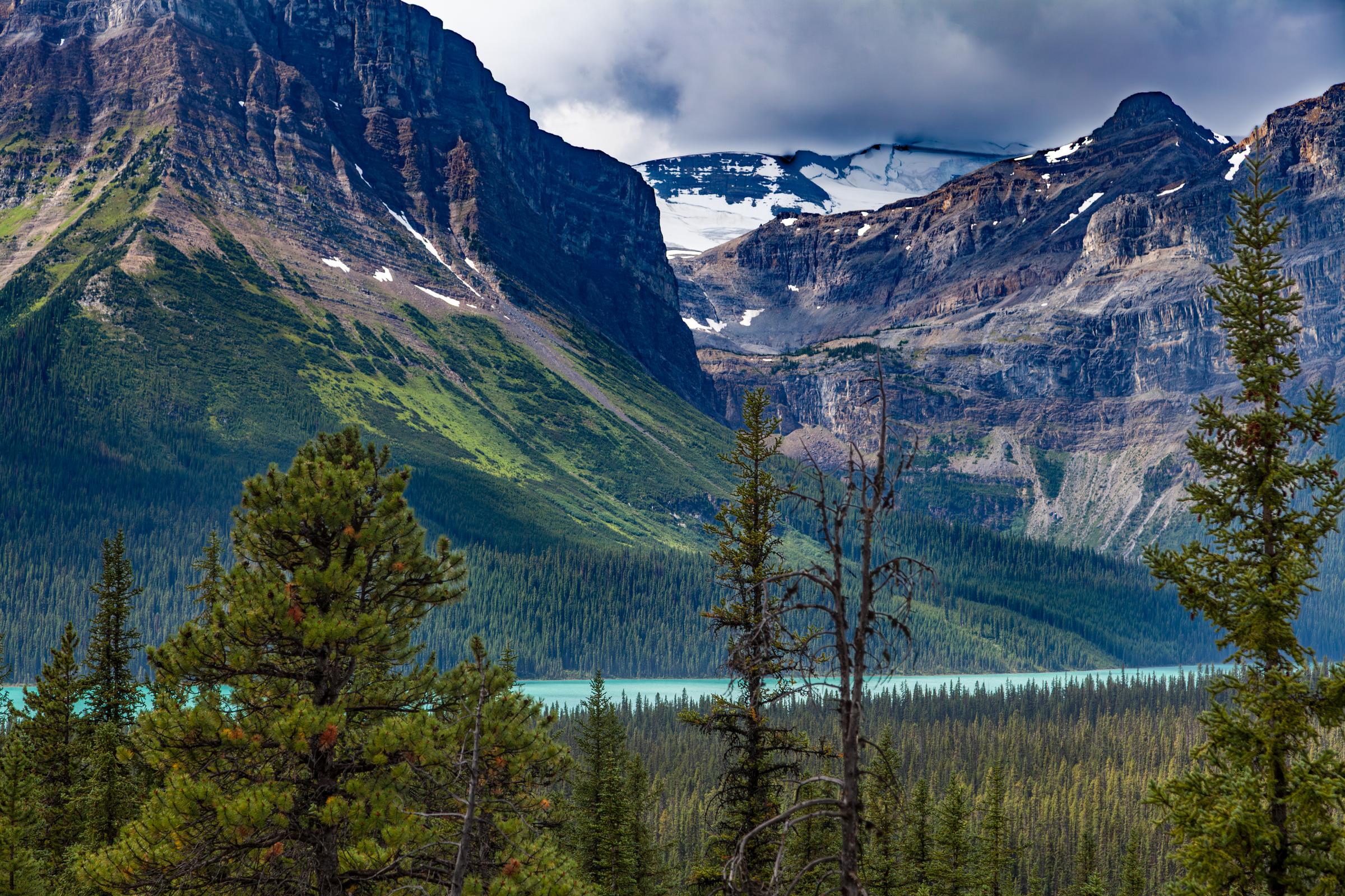 Hector Lake Lookout Point