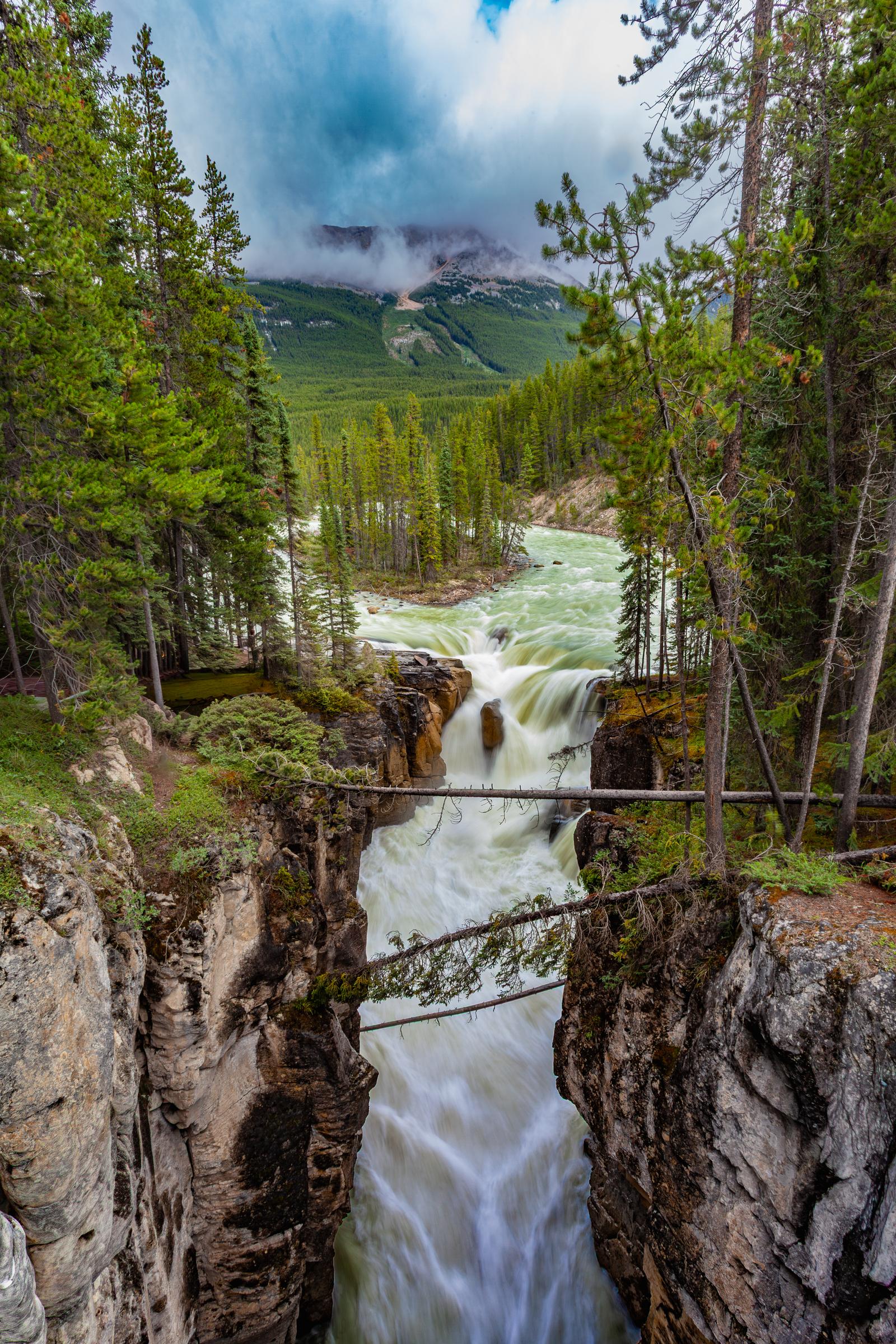 River flowing through a forested canyon Peyto Lake AB Canada
