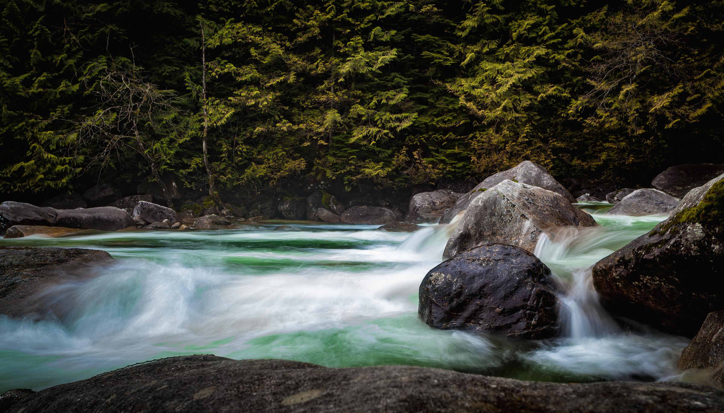 Rushing Stream in Forest Along Transcanada British Columbia Canada