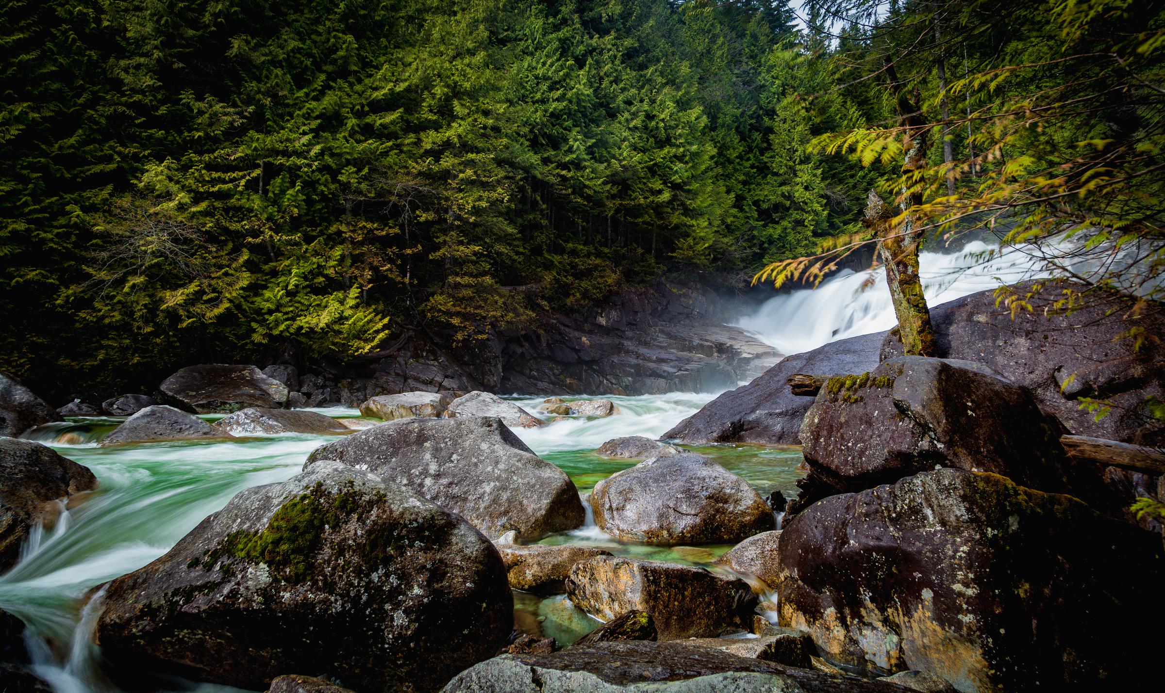 River Flowing Through Forest Along Transcanada British Columbia Canada