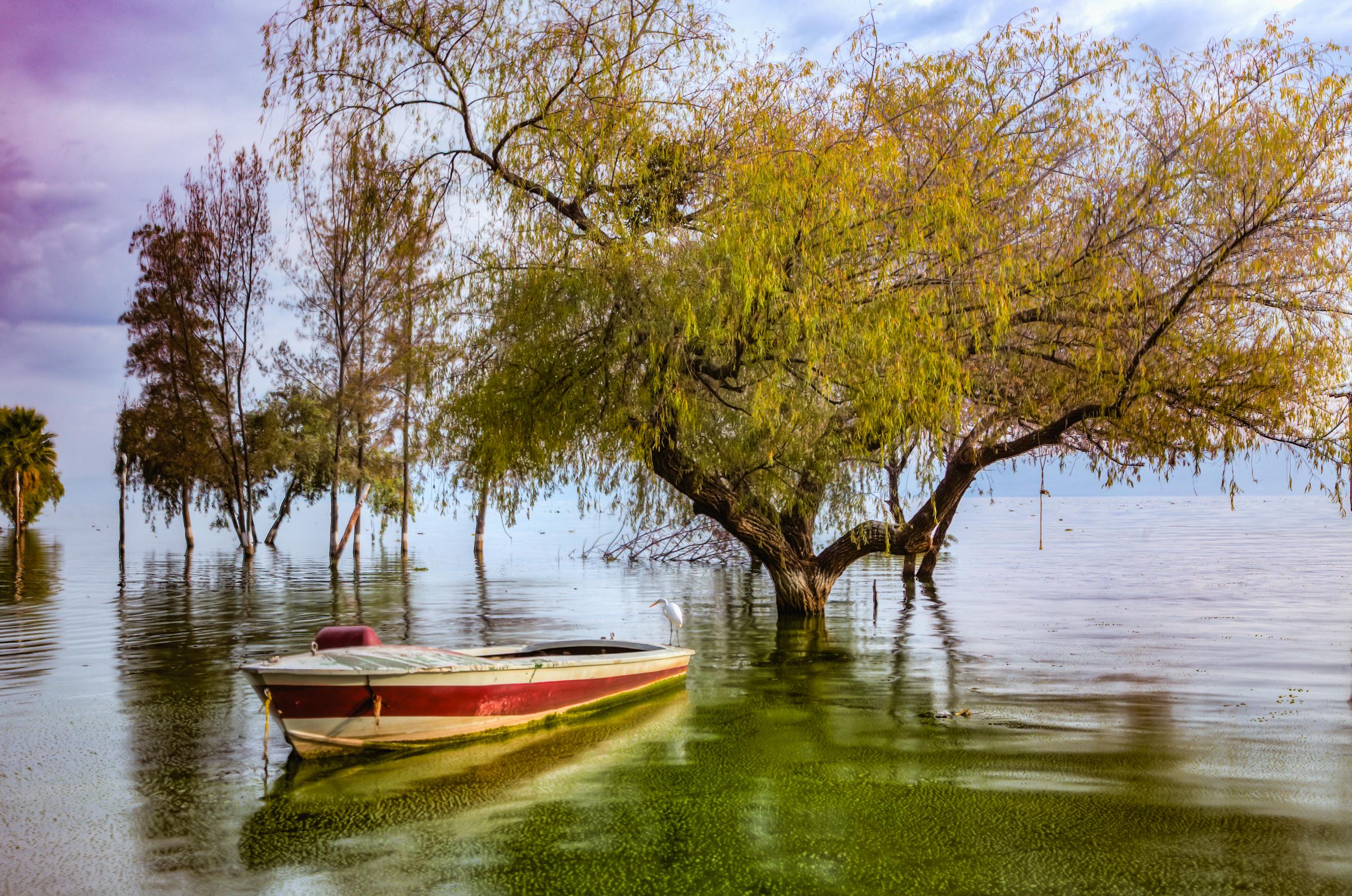 High Water Lake Chapala