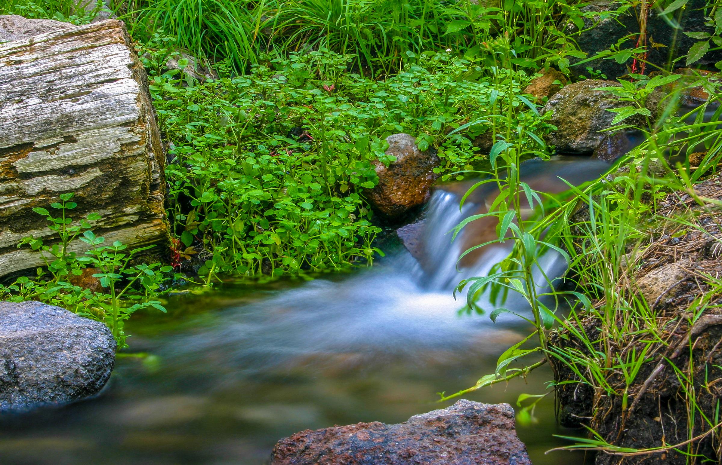 Jemez Hot Springs New Mexico - 2