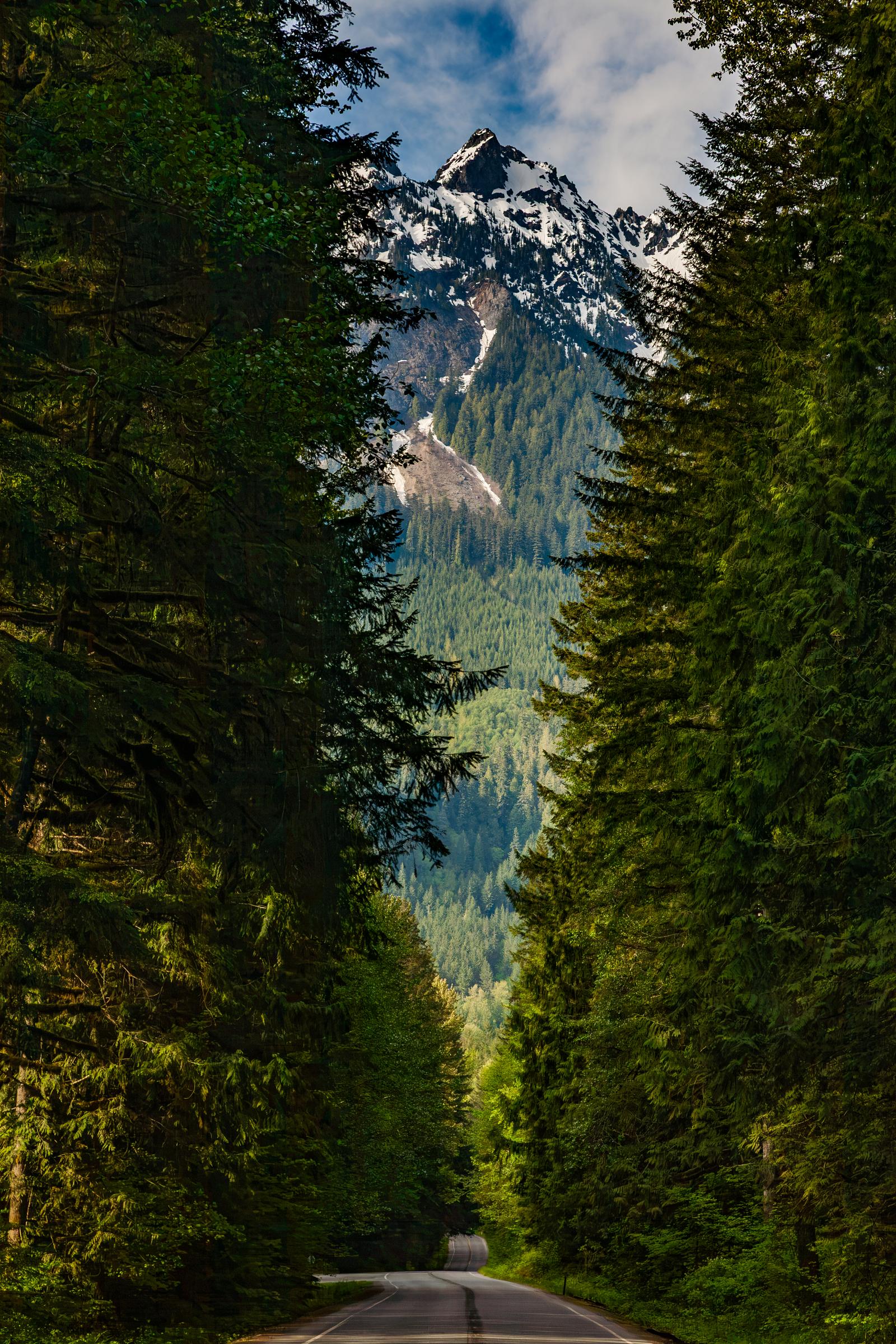 Mountain View Through Trees North Cascades Washington State United States