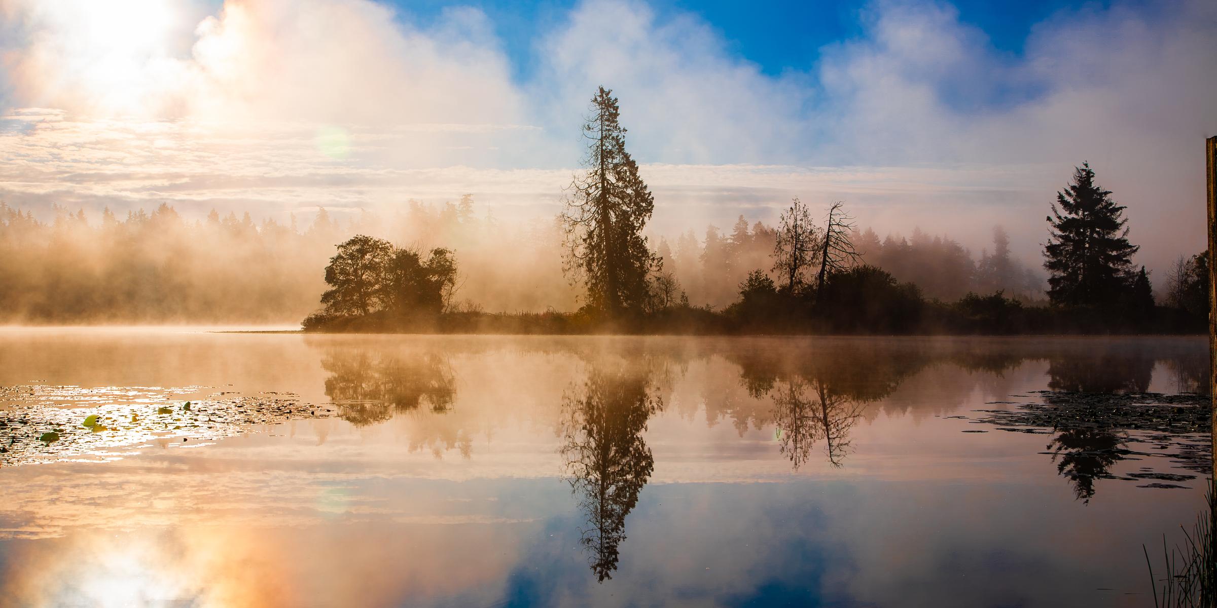 Misty Lake Reflection Mountlake Terrace Washington United States