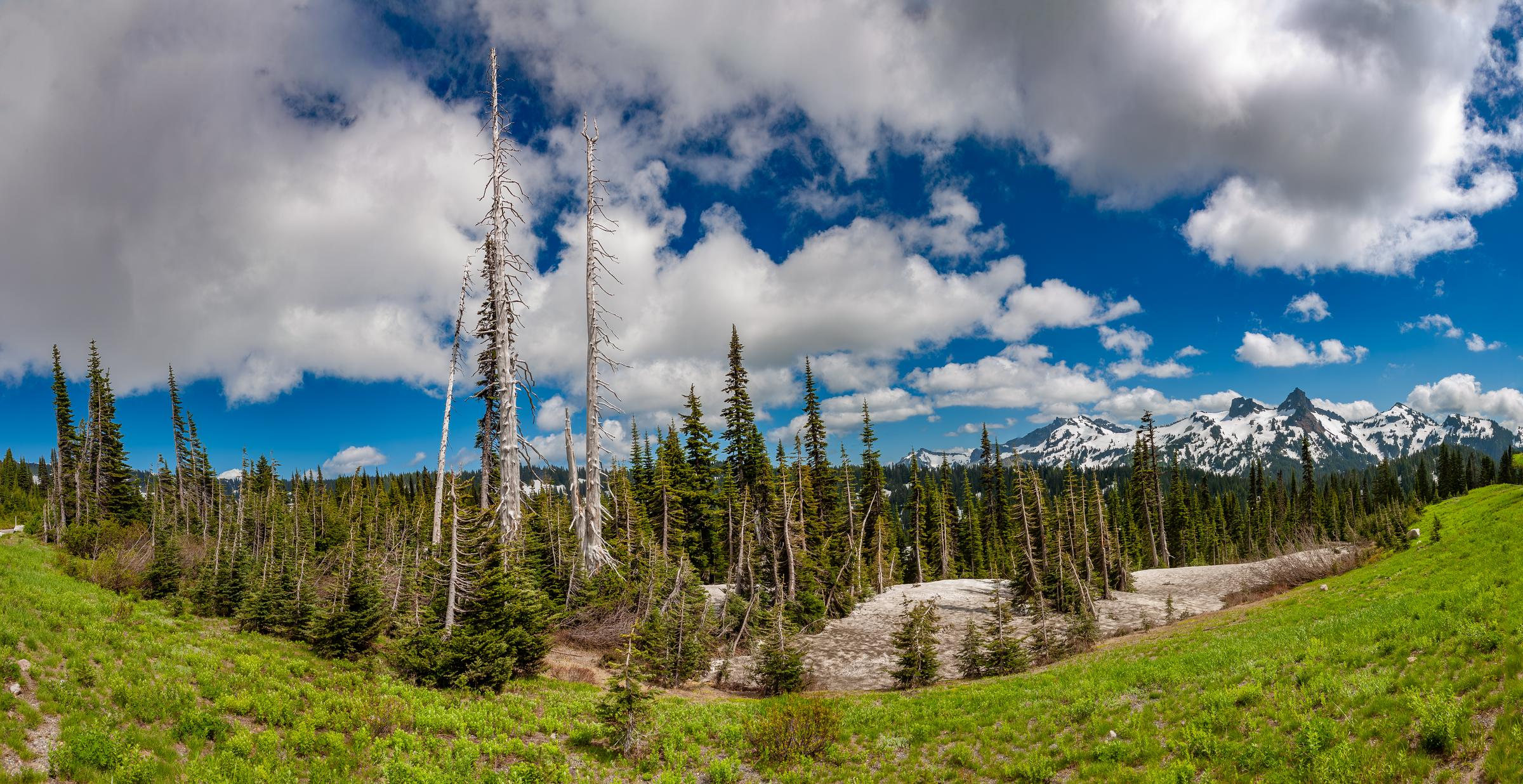 Mountain Panorama Mt Rainier