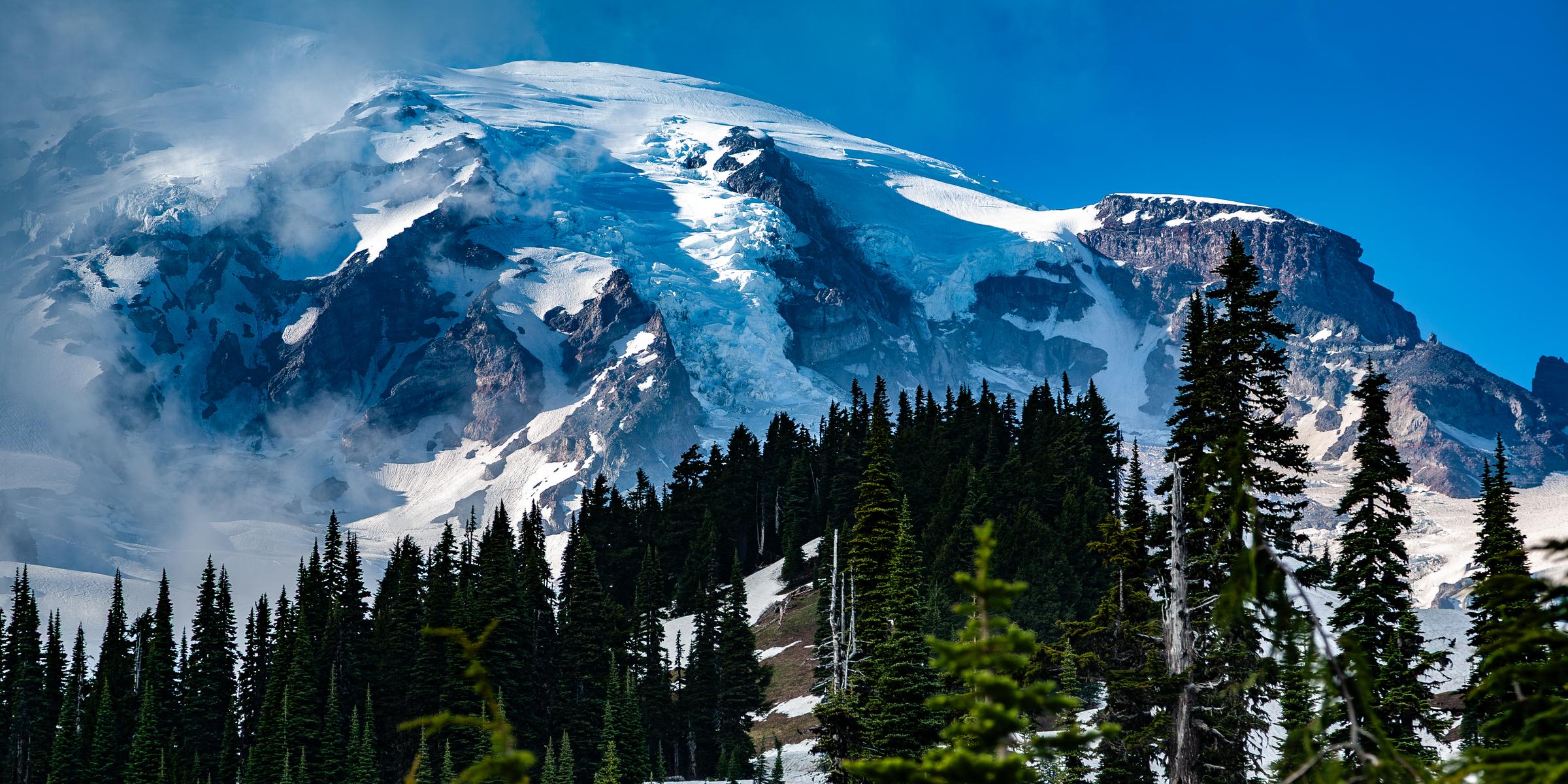 Snow-capped mountain with forest Mount Rainier Washington State United States