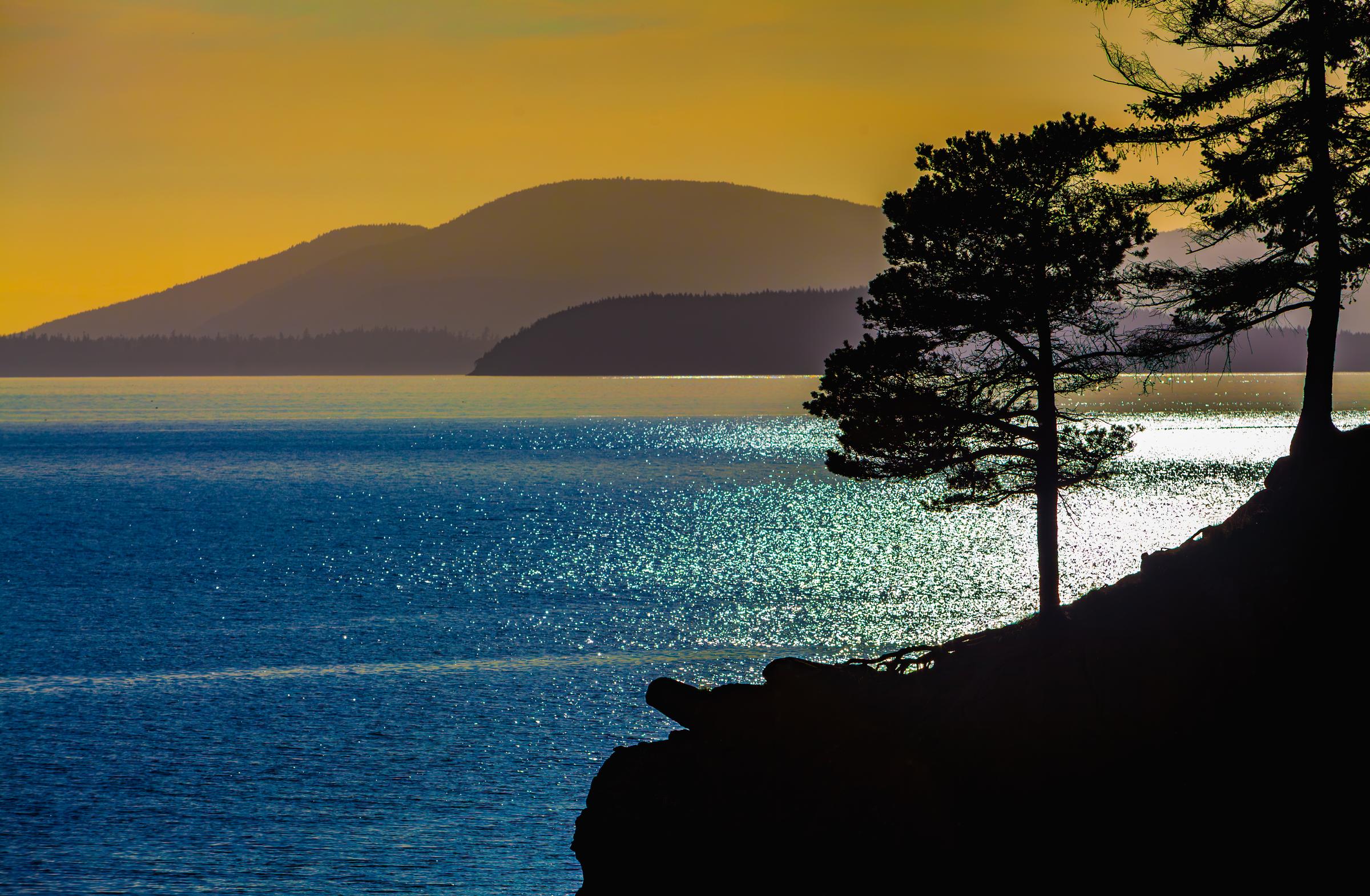 Silhouetted Trees by the Water Deception Pass Washington State United States