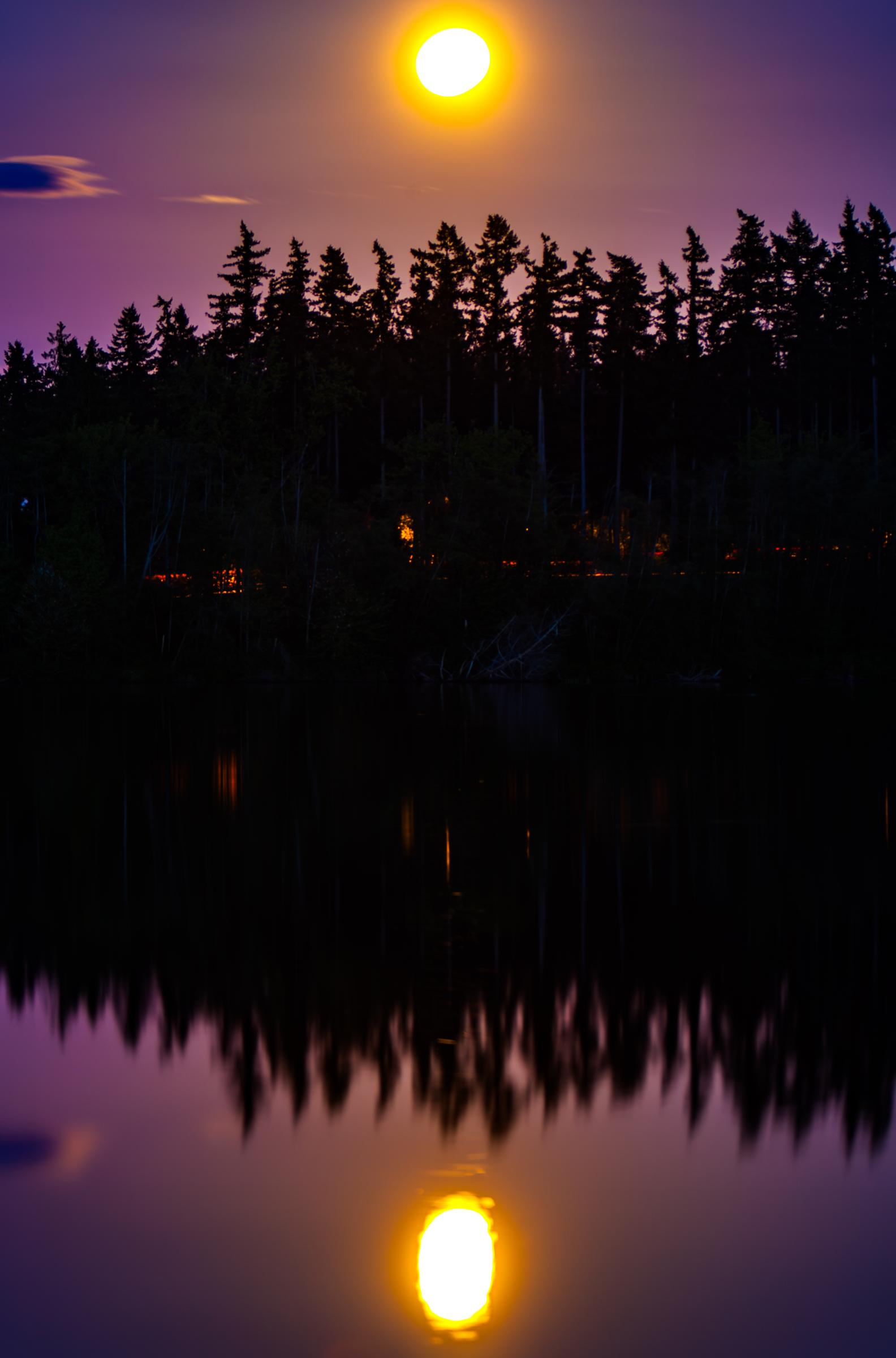 Moonrise over a forested lake Esperance Washington United States